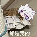 香草猫