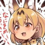 Serval-chan